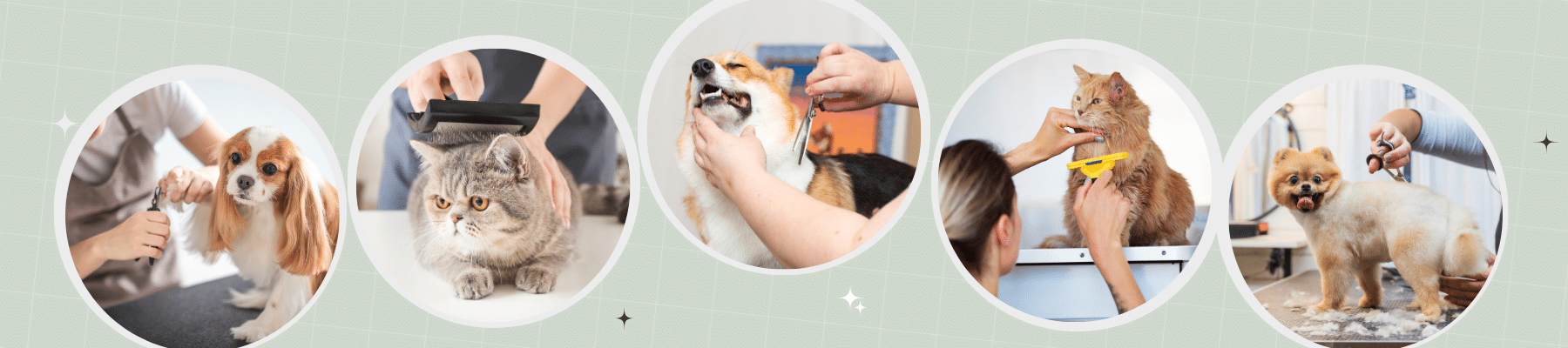 Five photos cropped into circles. From left to right: a dog whose nails are being trimmed; a cat being brushed; a corgi being trimmed; a cat being brushed; and a dog being trimmed.