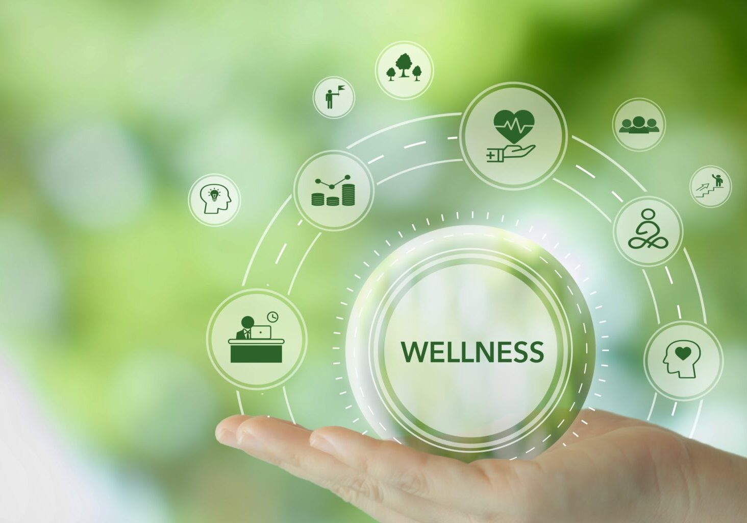 starting-a-multimodal-wellness-business Person’s hand held out, containing a digital sphere that says “wellness” surrounded by smaller spheres, like what one might consider when starting a multimodal health and wellness business: a person at a desk, a bar chart, a heart, and other symbols.